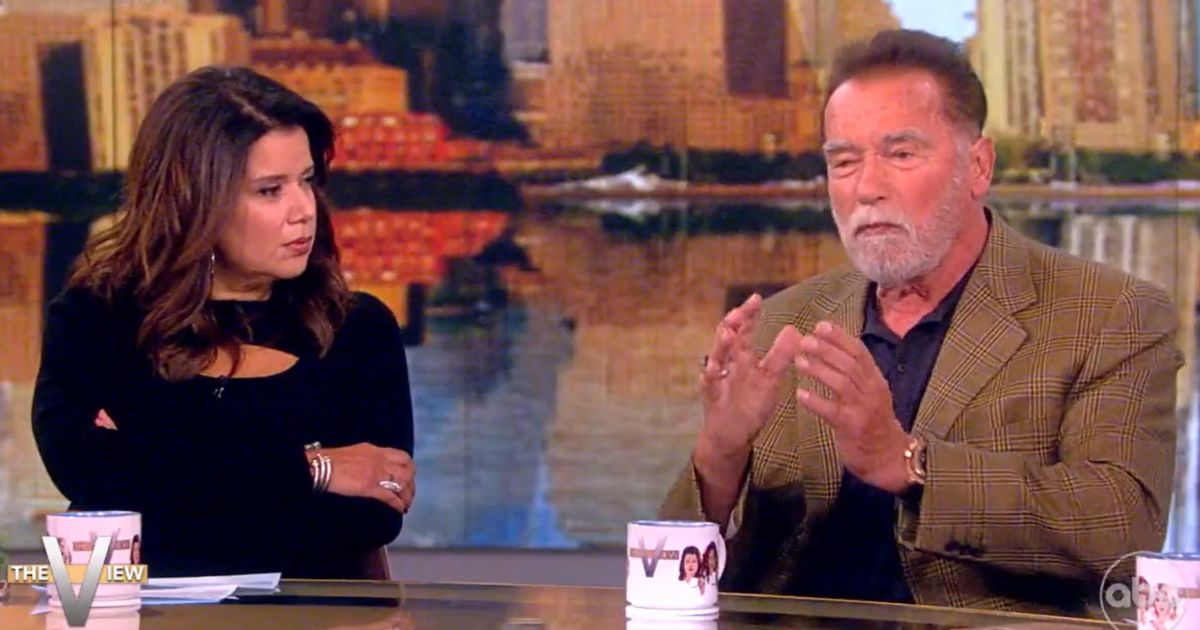 Arnold Schwarzenegger Calls for Closed Border, Reform to ‘Stupid’ Immigration System