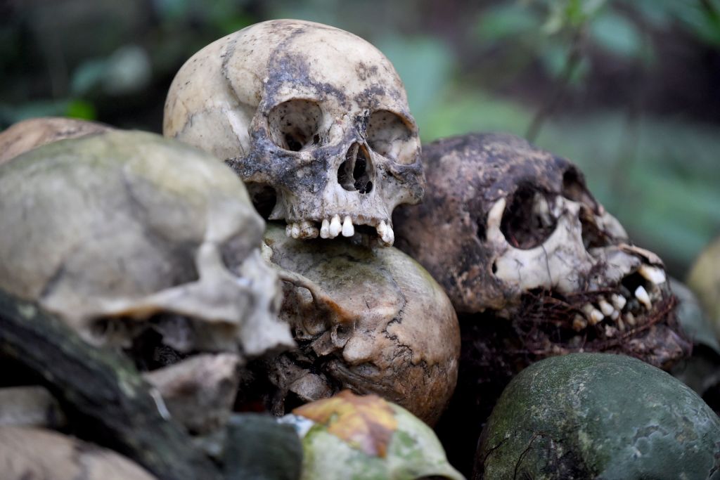 Police Discover ‘Plastic Skull Beer Bong’ After Responding to Reports of Human Remains