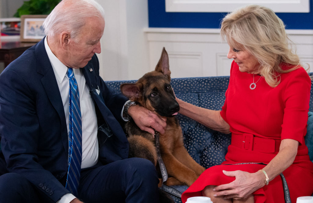 Former White House Staffer Says Biden Family Did Not Address Dog’s Bad Habits