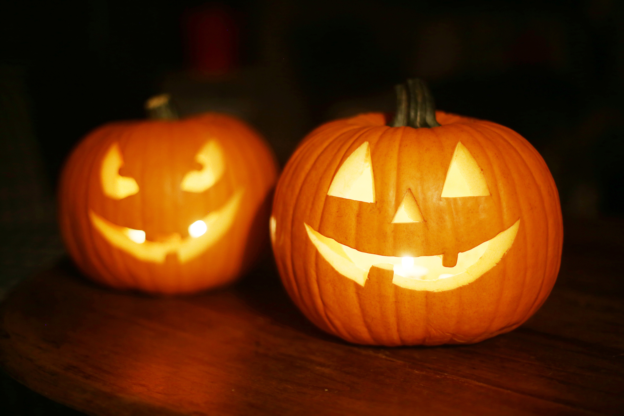 Pet Chickens Help Tiffani Thiessen Carve Pumpkin for Halloween