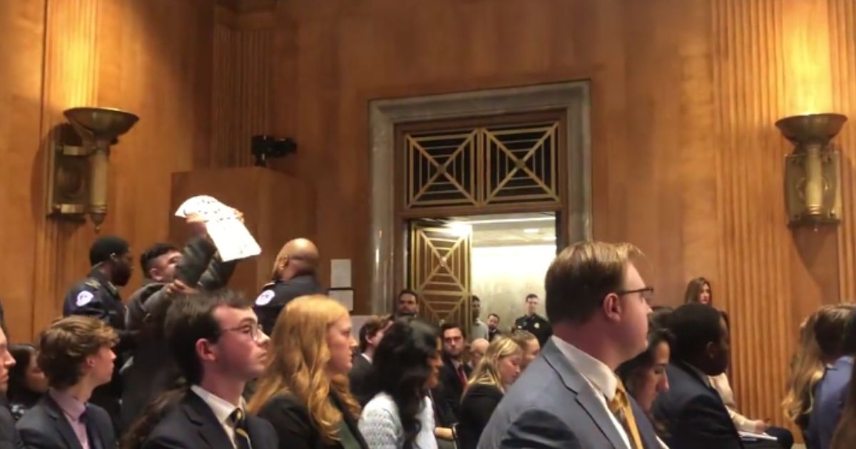 Watch: Screeching Pro-Palestinian Protesters Interrupt Senate Hearing