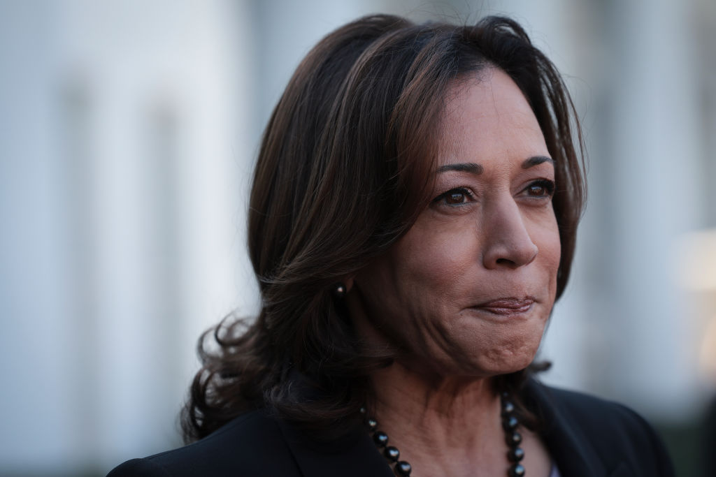 Kamala Harris Slammed Over Photo of Gas Stove on Thanksgiving