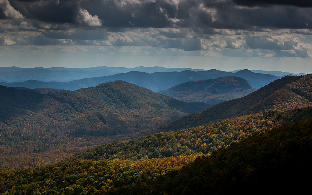 Part of Blue Ridge Parkway Closed After Visitors Attempted to Feed, Hold Bear