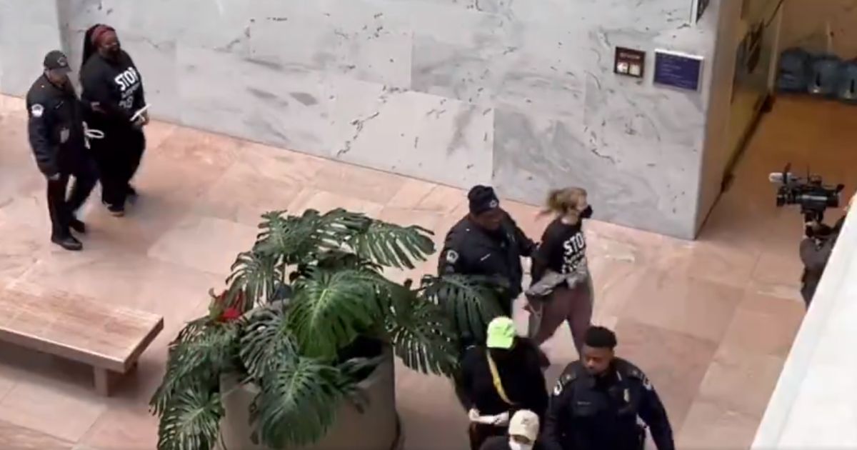 Pro-Palestinian Protesters Take Over Senate Office Building, Police Move in with Zip Ties
