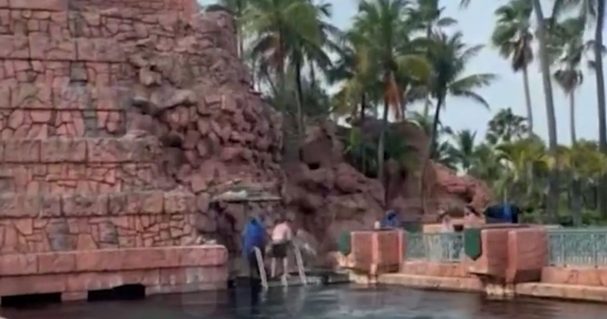 Family Filming Waterslide Hears Screams, Ends Up Recording Boy Being Attacked in Resort’s Shark Tank