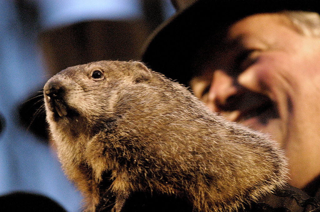 He and His Shadows — Punxsutawney Phil Becomes a Father