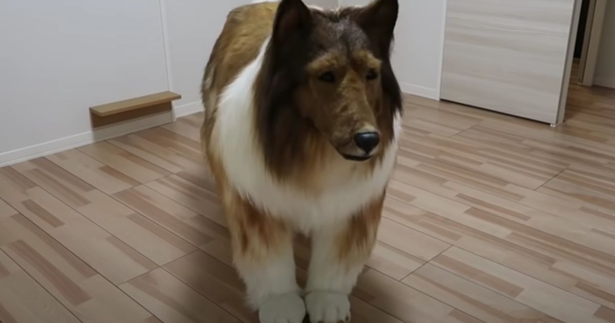 Man Who Tried to Transform Himself Into Dog Abandoning Dream After Realizing He’s Barked Up the Wrong Tree