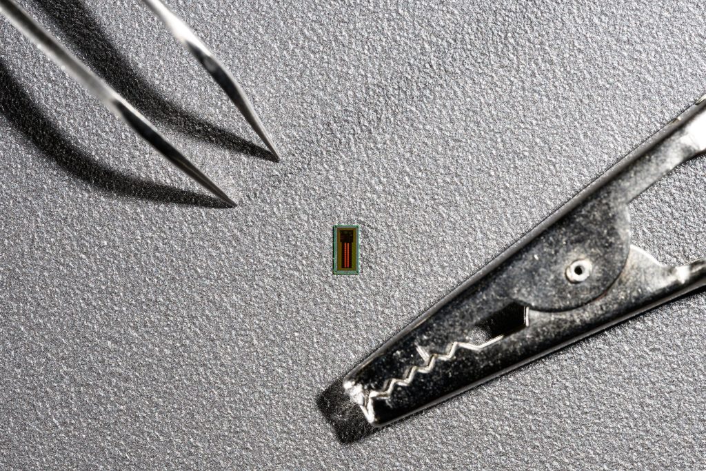 EPFL Researchers Develop Tiny Brain Chip For High-Accuracy Thought-to-Text Conversion‌
‌