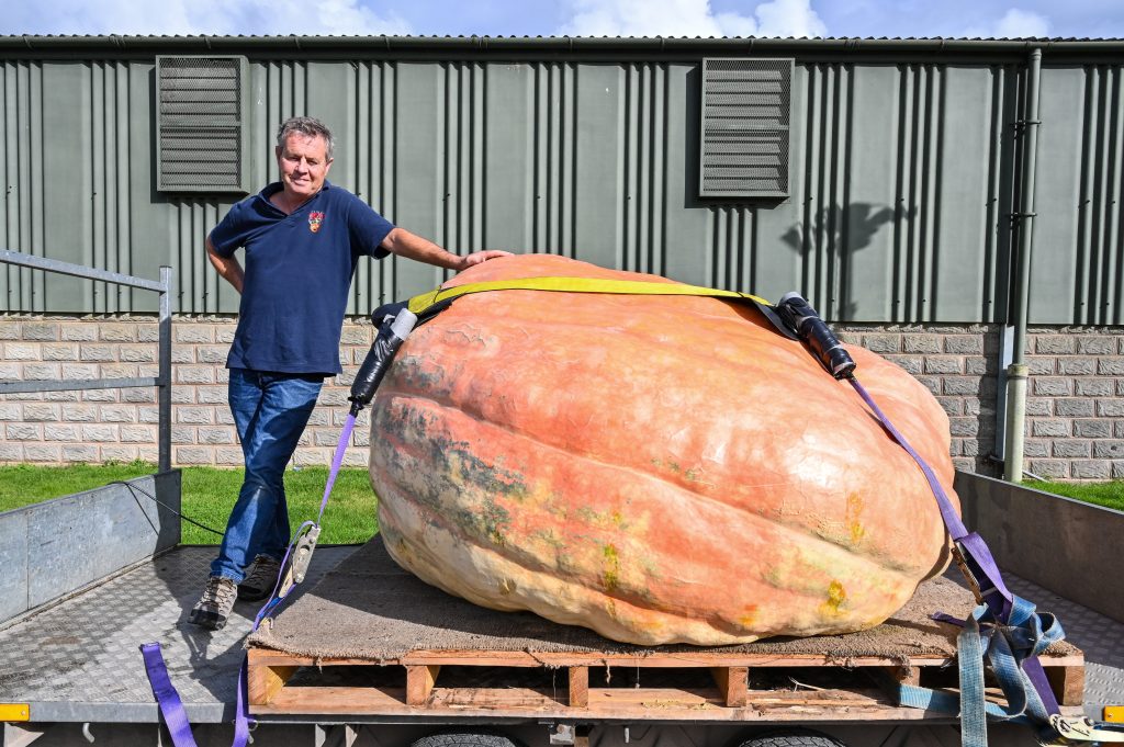British Twin Brothers Cultivate Monster Pumpkin, Set New UK Record