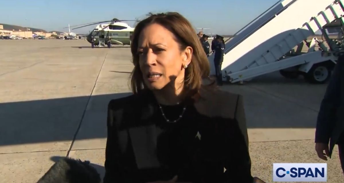 Harris Distances Herself From Biden’s ‘Garbage’ Comment