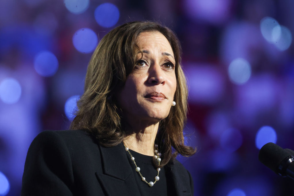 Dem Strategist Tells Harris ‘Please Don’t’ Run in 2028