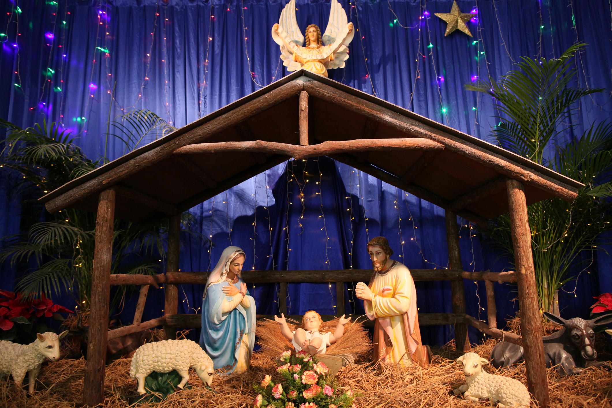 Bible Prophecy Fulfilled? Pastors, Theologians Say Nativity, Origins of Jesus Prove Old Testament Promises