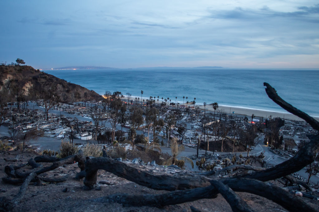 Report Details Los Angeles ‘Disaster Was Years in the Making’