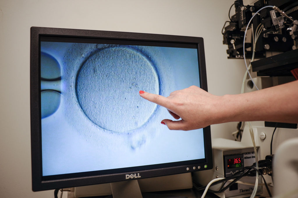 Some Pro-Life Advocates Speak Out Against Trump’s Move on IVF