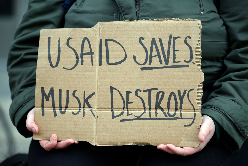 Lawmakers Challenging Musk’s Authority in DC