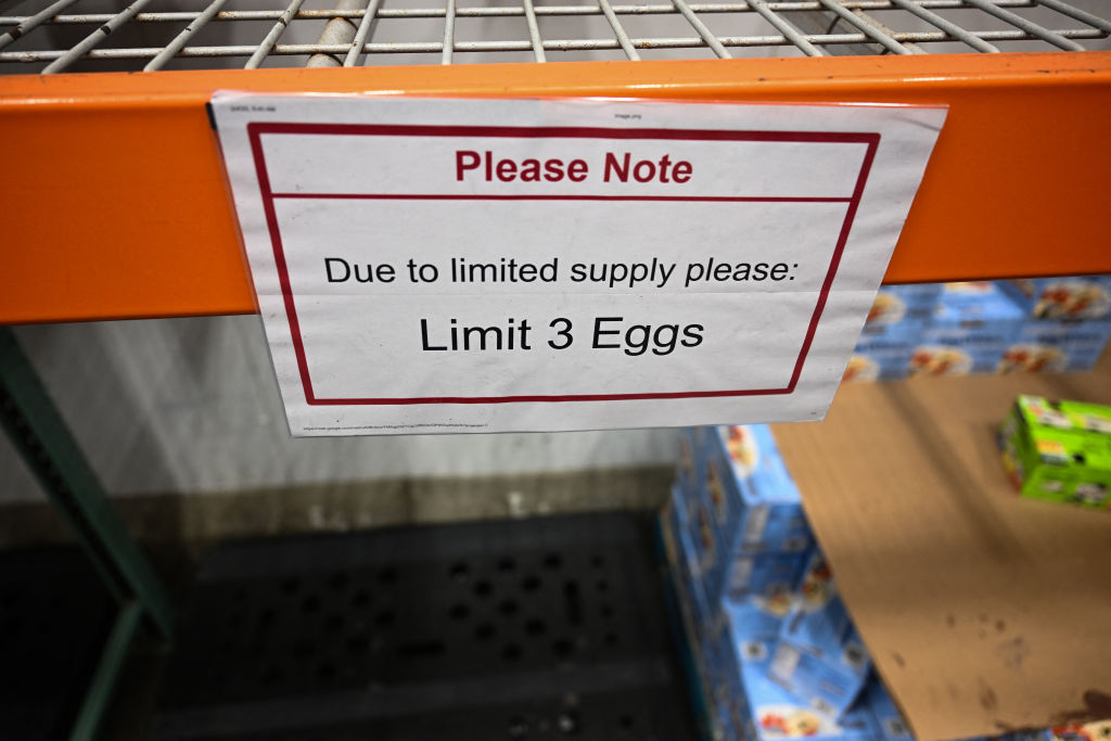 Bird Flu Could Be ‘Worst Outbreak Ever’ As Egg Prices Hit Record Highs