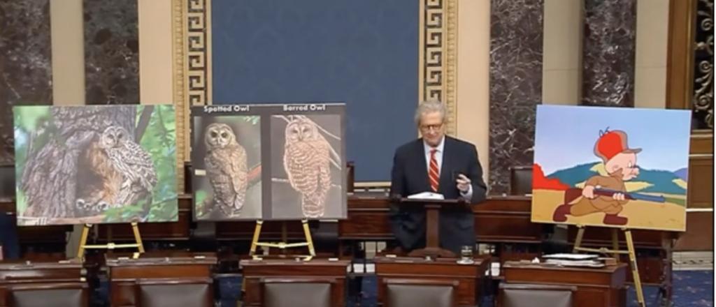 ‘DEI For Owls’: John Kennedy, Flanked By Elmer Fudd Pic, Repeatedly Asks ‘Who Appointed’ Bureaucrats God