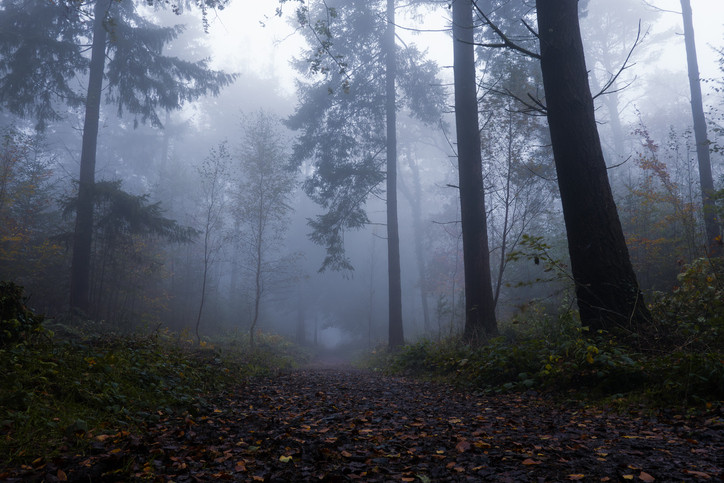 Wisconsin Woman Who Attacked Classmate for Slender Man Vanishes from Group Home
