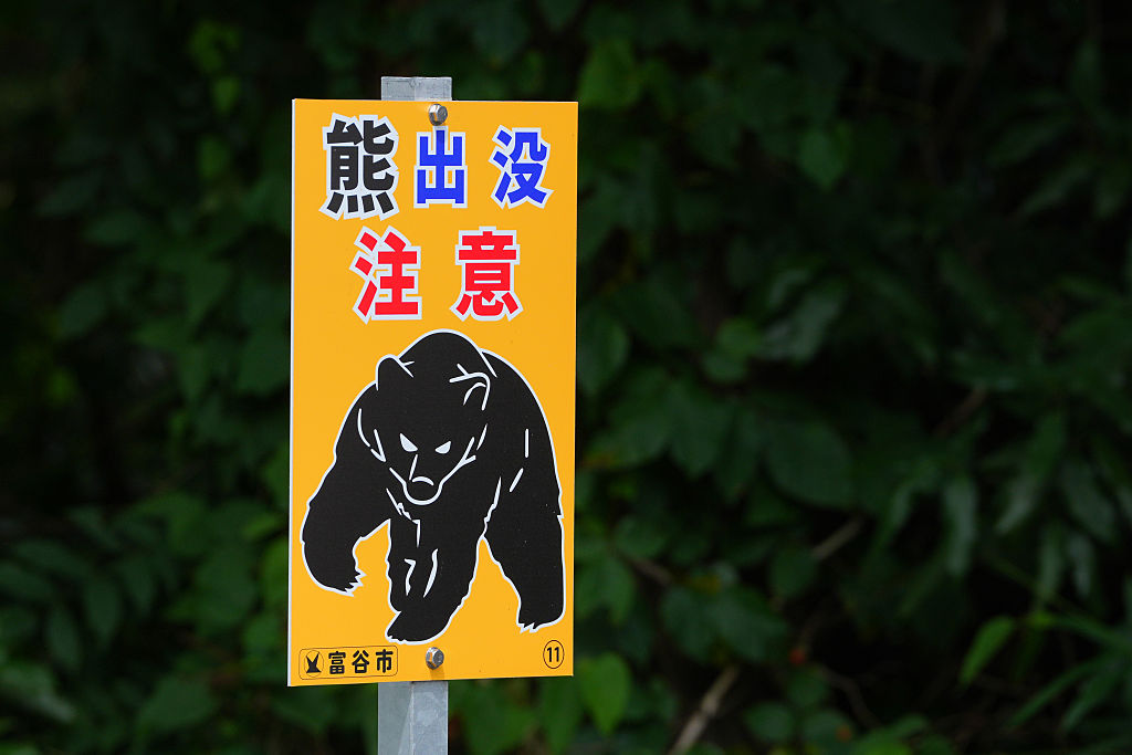 Japan Deploys Troops to Battle Deadly Surge in Bear Attacks