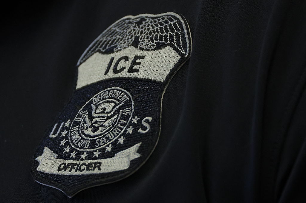 ICE Nabs Convicted Sex Offender in Minnesota Crackdown