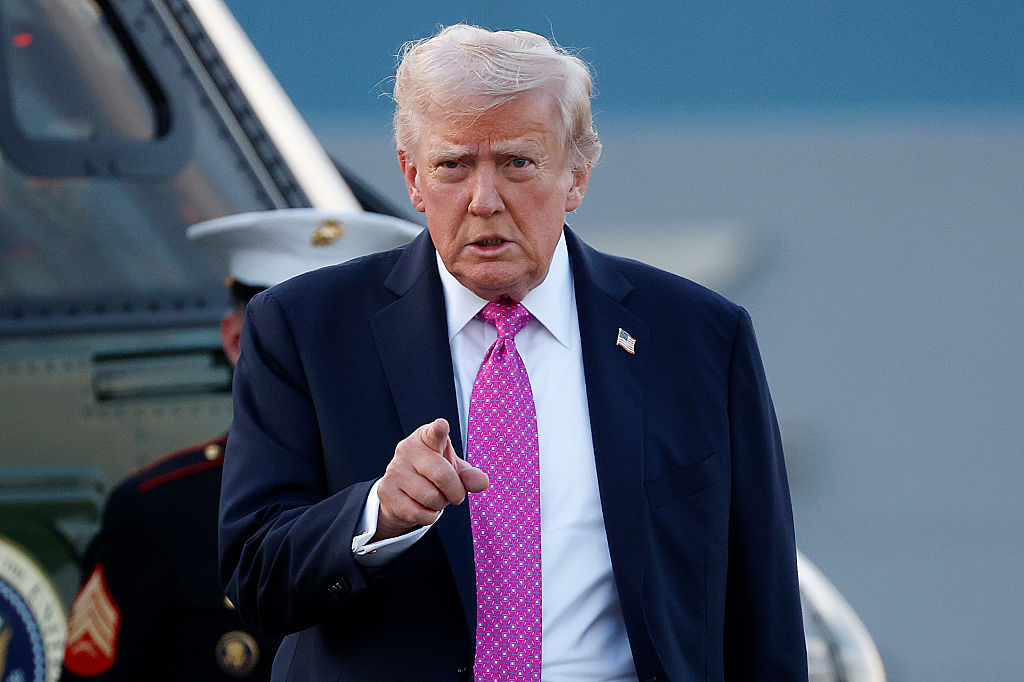 Trump Talks Defense Spending: ‘NATO Calls Me Daddy’