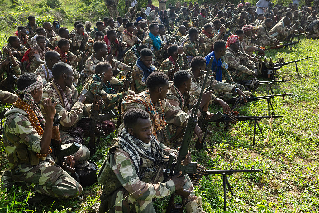 Treasury Opens Federal Investigation into Claims Minnesota Tax Dollars Reached Al-Shabaab