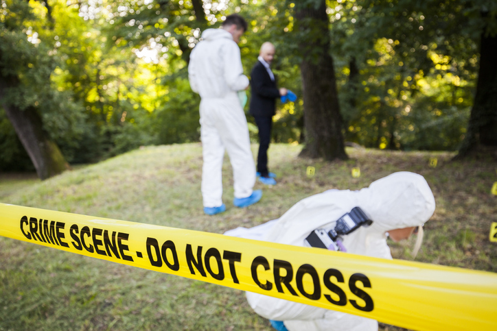Family Horror in Michigan: Court Records Reveal Shocking Details in Killing of Pregnant Woman