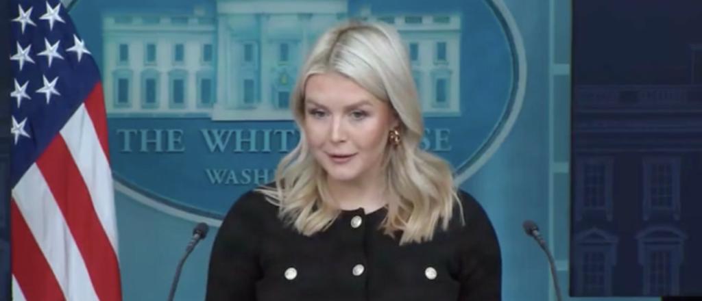 Karoline Leavitt Flabbergasted When Reporter Asks Her For Examples Of ...