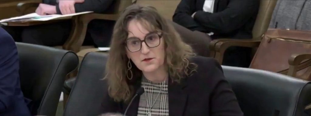 Trans Lawmaker Wants You To Believe Porn Sites Are ‘Educational’ For ‘Queer Kids’