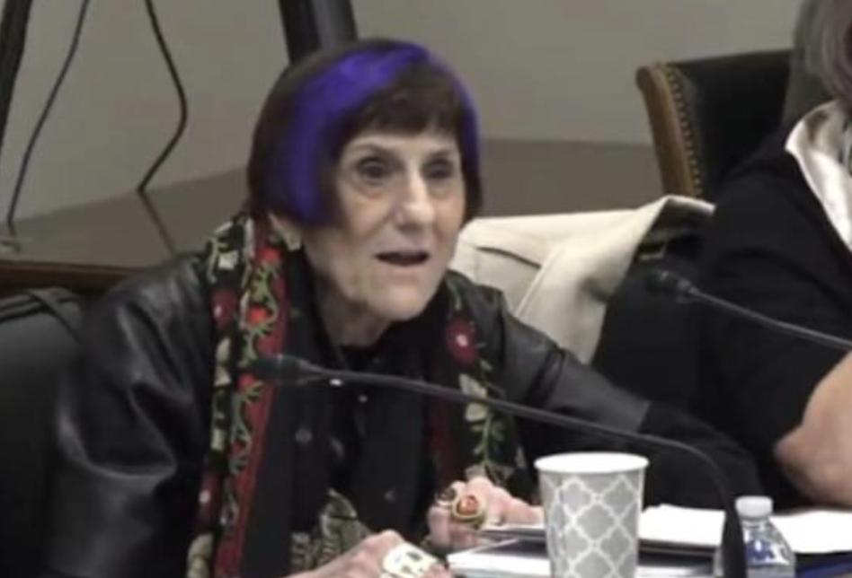 Democrat Lashes Out When Her Ignorance Is Put On Display