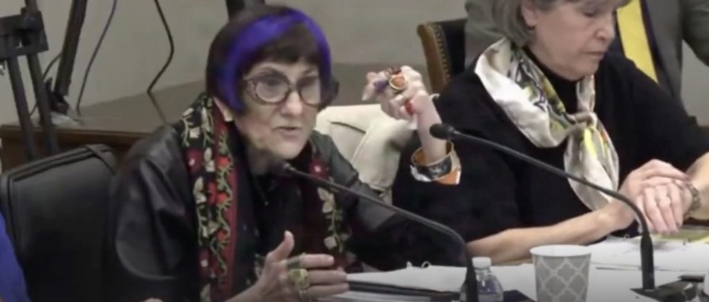 Lee Zeldin Infuriates Purple-Haired Democrat While He Schools Her On Basic Supreme Court Cases