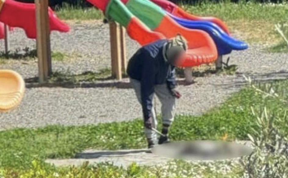 Migrant Arrested For Cooking Cat In Public Space