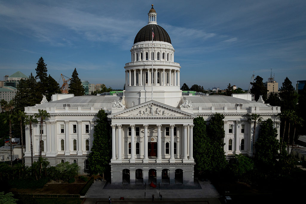 Dreams Dashed: The California Gubernatorial Race in a Nutshell