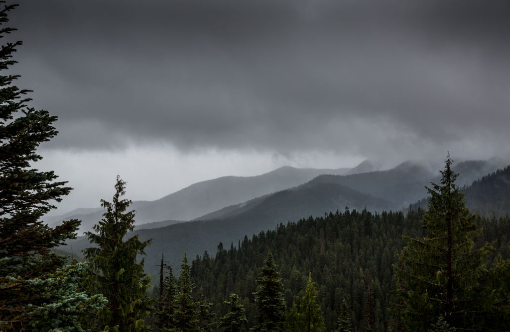 Mystery Finally Solved: Human Remains Found in National Park Identified After 25 Years